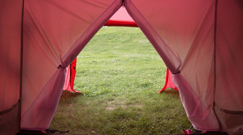 View from inside the tent through the open entrance onto a meadow